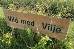 Vild-med-vilje